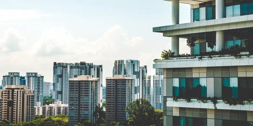 重庆APP开发公司推荐 派维特软件详解物业与地产APP解决方案